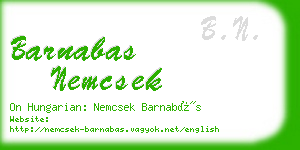 barnabas nemcsek business card